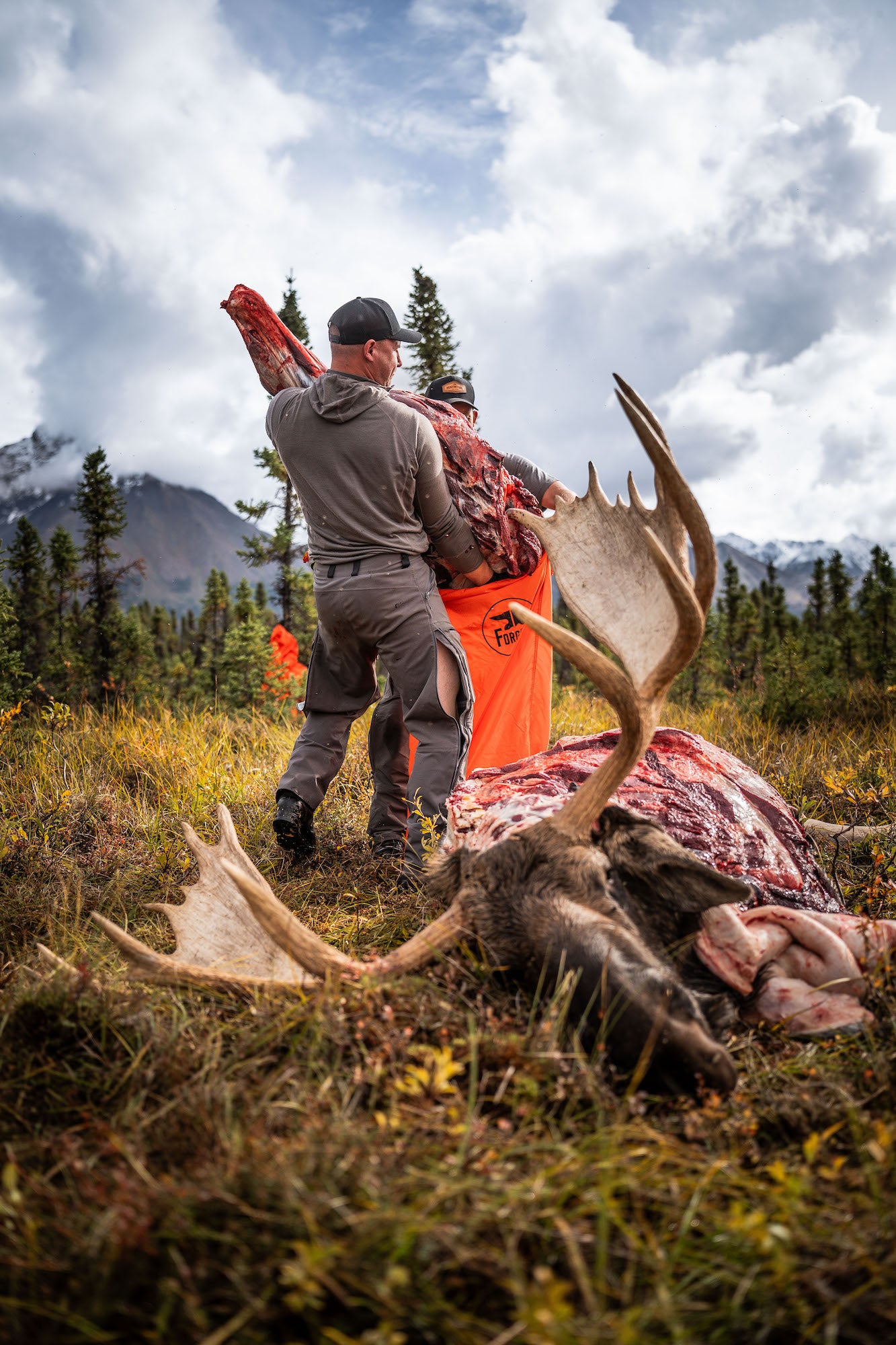 XL Meat Bag Kit